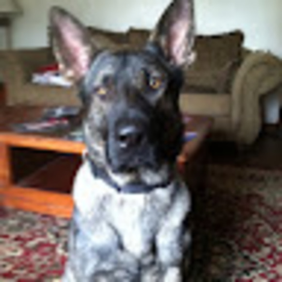 Meet your Posher, Jeff - Picture 1 of 1